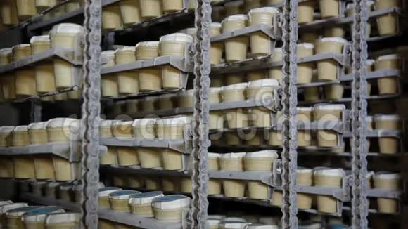 冰淇淋在工业冰箱里冷冻冰淇淋生产线传送带上的甜点粮食生产视频的预览图
