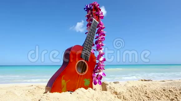 夏威夷瓦胡岛热带海滩上带四弦琴和雷的度假旅行概念视频的预览图