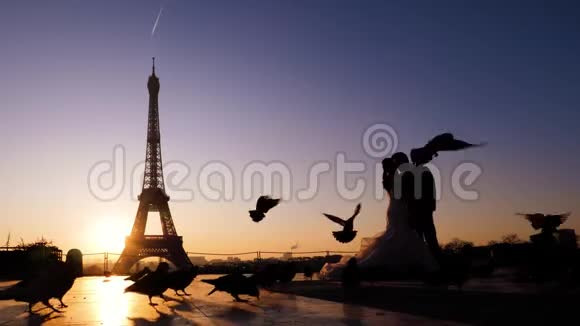 埃菲尔铁塔背景下亲吻新婚夫妇的剪影日出和鸽子环绕巴黎视频的预览图