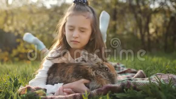 小女孩抱着一只毛茸茸的棕色兔子在绿草上抚摸视频的预览图