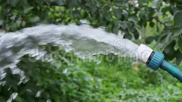 在户外花园里用手喷洒花园水管上的水夏天视频的预览图