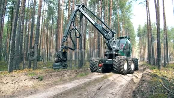 拖拉机在森林里砍树视频的预览图