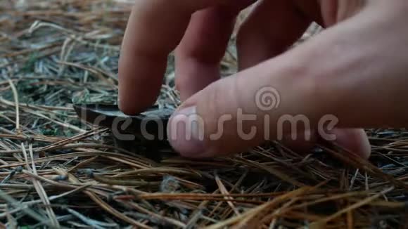 雄性手触摸森林地面上的蘑菇视频的预览图