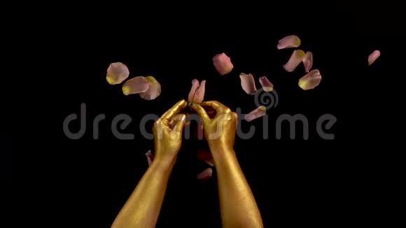 手在金漆上组装玫瑰花女子金手撕逆玫瑰花视频的预览图