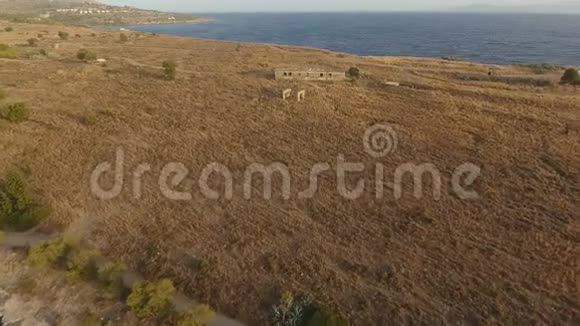 在靠近大海的田野里被遗弃的建筑物视频的预览图