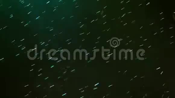 在绿色的聚光灯下飘落的雪花雪在黑暗的天空中飘落动画抽象背景视频的预览图