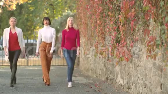 秋装时装美丽的女孩带着秋天的心情散步秋姑娘秋天美丽学生的画像视频的预览图