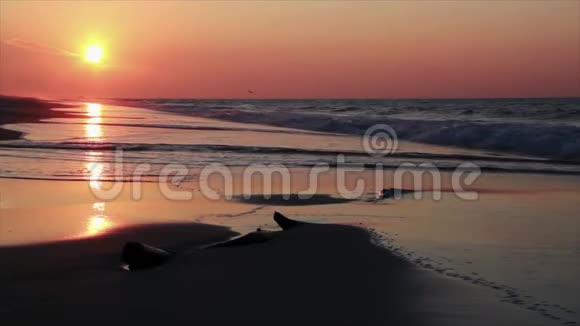 亚拉巴马海湾海岸日出冲浪圈视频的预览图