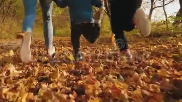人们沿着秋叶奔跑特写腿视频的预览图