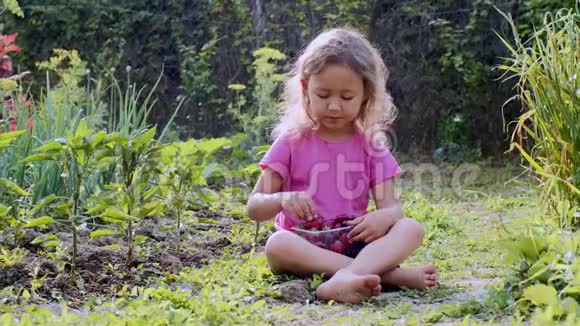 小女孩正坐在农场的草地上吃草莓视频的预览图