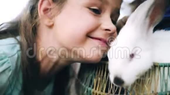 小女孩抚摸着兔子笑起来得到很多积极的情绪视频的预览图