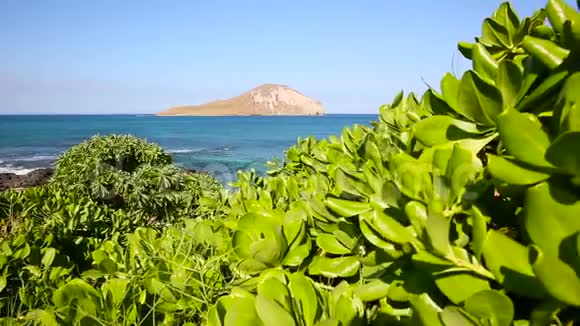 马卡布海滩的兔子岛风吹瓦胡岛夏威夷视频的预览图
