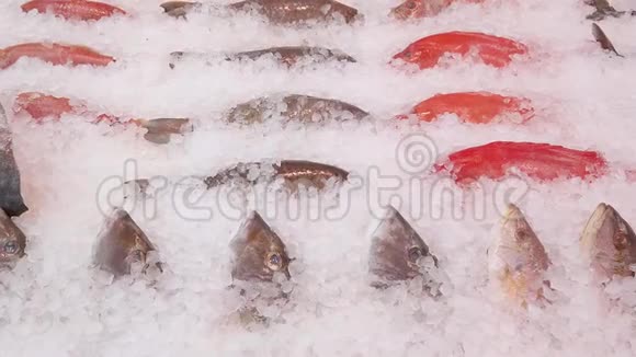 将各种鱼放在冰上放大放在鱼贩摊上视频的预览图