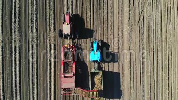 上景航空公司马铃薯收获过程中农田的Usiing机械土豆采摘机挖掘和采摘视频的预览图