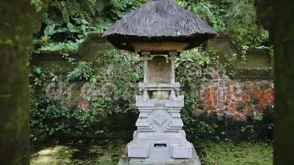 古农卡维巴厘寺乌布德印度尼西亚视频的预览图