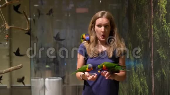 鹦鹉鸟落在女孩手上兴奋的女人在动物园喂鸟万向节运动视频的预览图