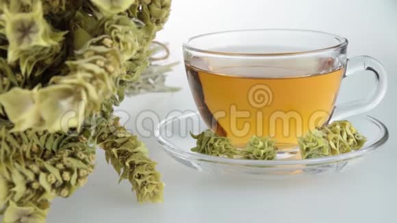 一大堆山茶马洛提拉和杯子与温暖的茶希腊传统草药白色背景的希腊山茶视频的预览图