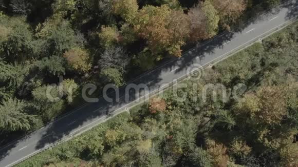 巴伐利亚泰格恩湖的美丽景观一条从高角度出发的道路秋天由无人机拍摄的垂直景观视频的预览图