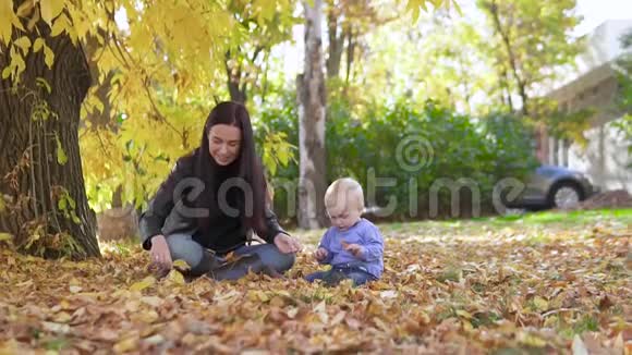 母子俩玩秋叶妈妈和孩子坐在地上一家人在缓慢的秋天公园玩视频的预览图