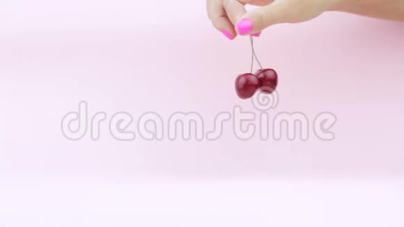 熟樱桃一只雌性的手在粉红色的背景上旋转并放置文字视频的预览图