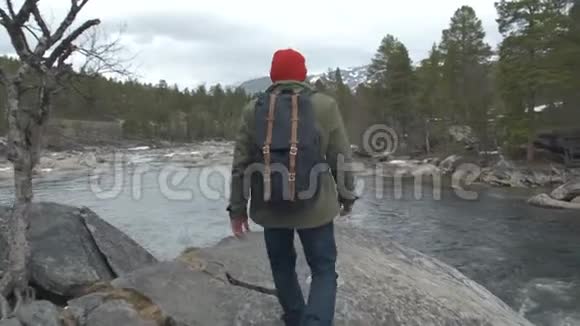 一个带背包的年轻游客的肖像从后面看背景是河流森林山脉蓝天视频的预览图