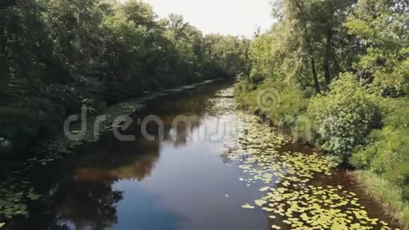 鸟瞰美丽的自然和景观无人机在河流和森林附近飞行美丽的绿色公园和小河景色TT视频的预览图