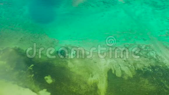 绿松石海的背景图像深海和珊瑚视频的预览图