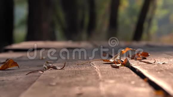 风从木桌上吹出枯黄的叶子秋天温暖的日子视频的预览图