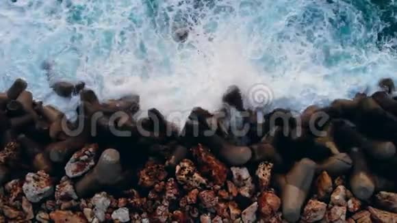 四足动物被海水冲刷视频的预览图