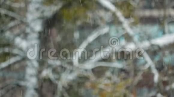 窗外大雪视频的预览图