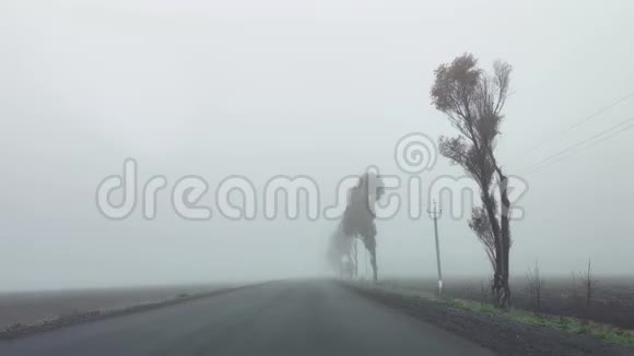雾状道路和道路标记横向图像能见度差视频的预览图