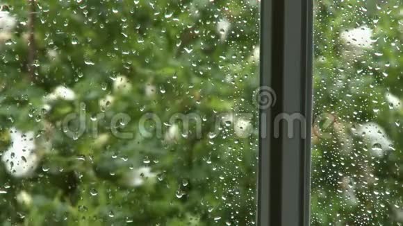 窗户窗格上的雨水视频的预览图