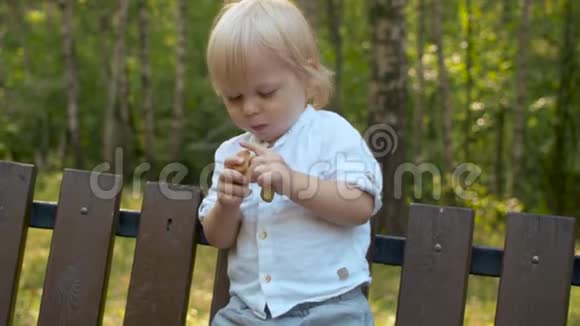 幼儿吃饼干的肖像画视频的预览图