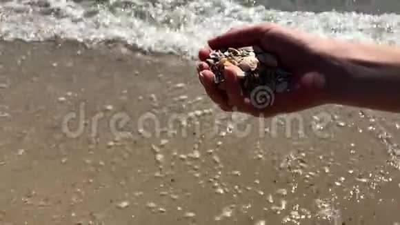 海壳女手在沙滩沙滩倾泻下来夏日在沙滩和度假放松的理念视频的预览图