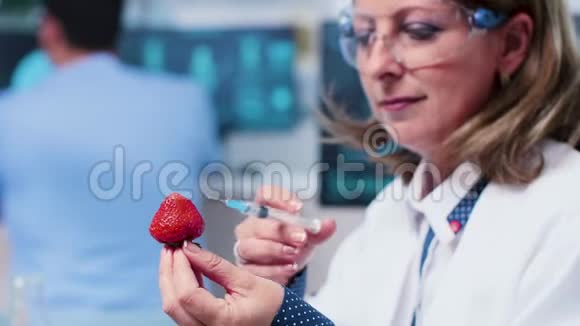 女性研究人员将转基因生物注射到草莓中的特写镜头视频的预览图
