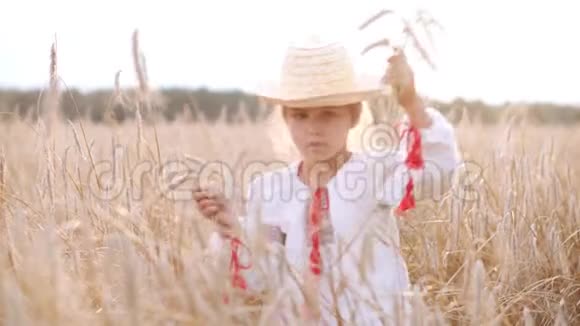 日落时小女孩在田野里走在耳朵里视频的预览图