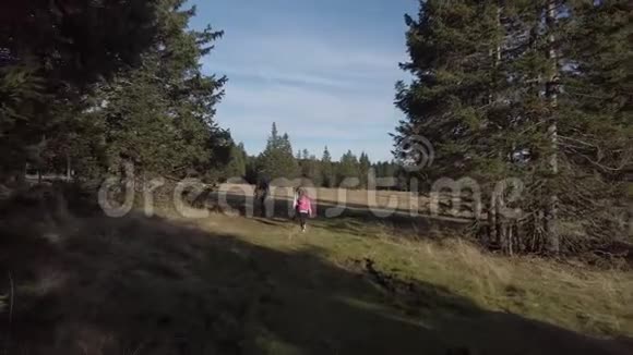 母亲带着两个女儿在大自然中徒步旅行视频的预览图
