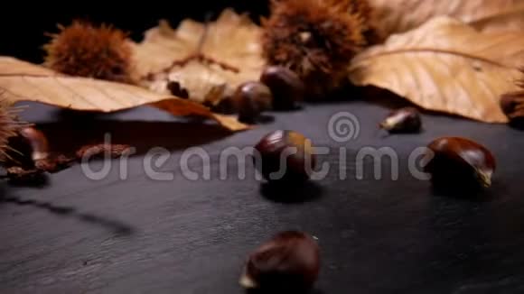 新鲜成熟的栗子落在黑色的表面视频的预览图