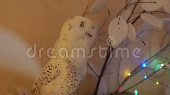 白极猫头鹰专注地盯着黄色的眼睛背景中一棵人工冬树和一个花环视频的预览图