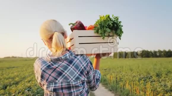 一个带着一盒新鲜蔬菜的女农民沿着她的田地散步健康饮食和新鲜蔬菜背面视频的预览图