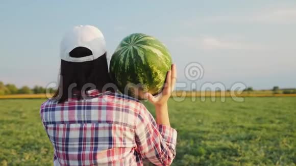 农夫把成熟的西瓜扛在肩上视频的预览图