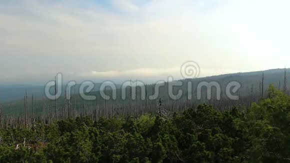 云的时间随着死亡的树木遥远的山丘和雾从Tristolicnik捷克共和国苏马瓦国家公园和巴伐利亚森林视频的预览图