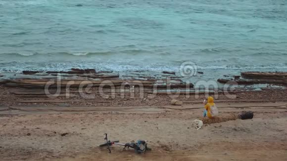 美丽的女人与拉布拉多猎犬在海边的石岸海滩上海浪在海岸上埃及西奈视频的预览图