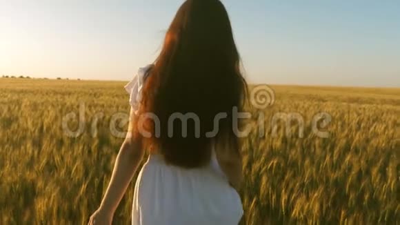 美丽的女人带着金色的小麦在田野里散步一个女孩走过一片成熟的麦田摸着耳朵视频的预览图