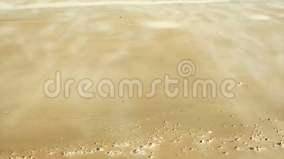 风在沙漠沙丘上移动沙子视频的预览图