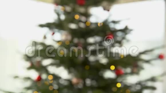 为圣诞节装饰的圣诞树模糊的轮廓视频的预览图