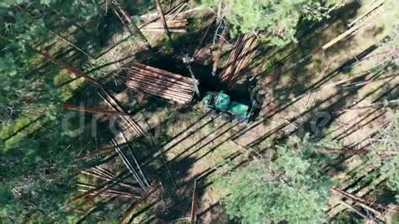 收割机是在俯视图中收集被砍伐的树木视频的预览图