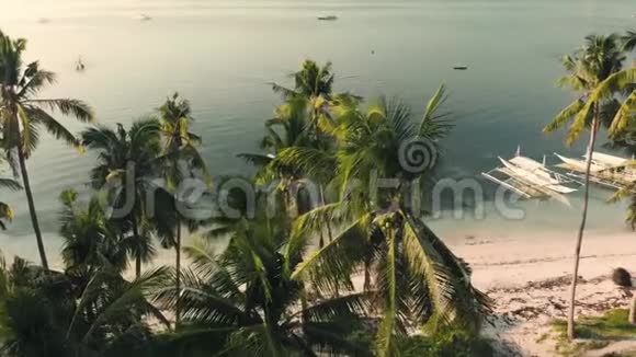 从无人驾驶飞机上拍摄的视频上面是棕榈树和椰子沙滩和船视频的预览图