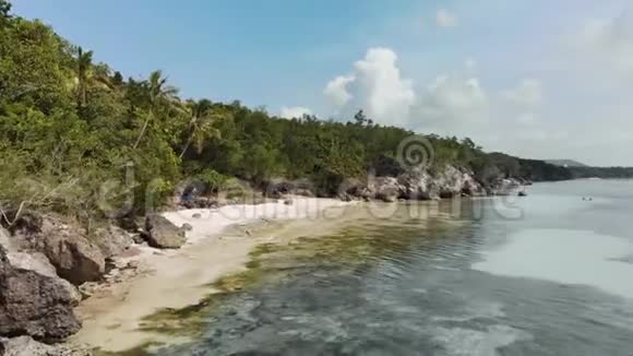一架小型沙滩无人机在密集丛林边缘拍摄的电影视频的预览图