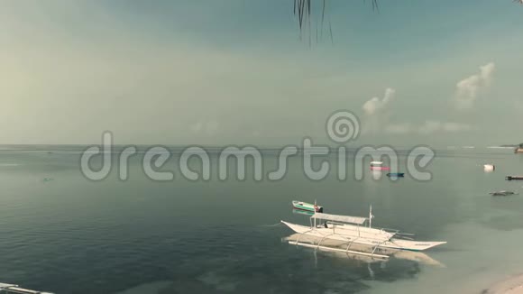 无人机慢慢地在棕榈树之间飞行用船打开棕榈树林和沙滩上的全景视频的预览图